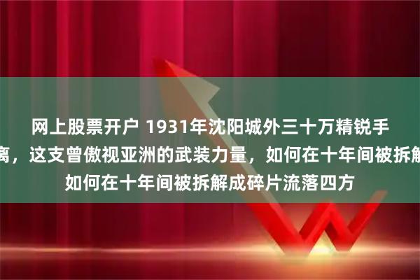 网上股票开户 1931年沈阳城外三十万精锐手握重炮却奉命撤离，这支曾傲视亚洲的武装力量，如何在十年间被拆解成碎片流落四方